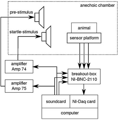 Open(G)PIAS: An Open-Source Solution for the Construction of a High-Precision Acoustic Startle Response Setup for Tinnitus Screening and Threshold Estimation in Rodents